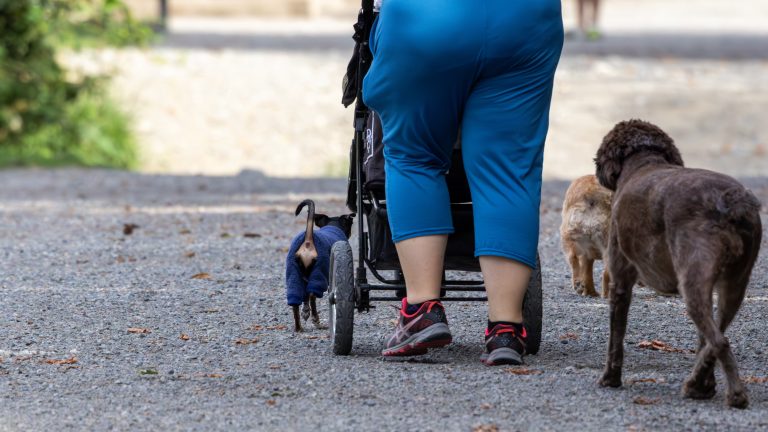 Street photo in Redmond, United States by Dan Lawyer