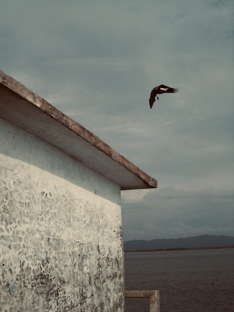 Street photo in Shapuree Island, Bangladesh by Jupiter Astro