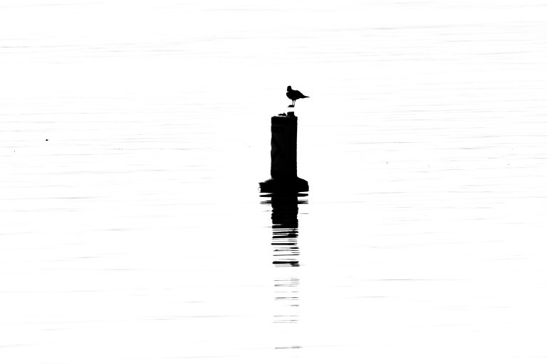 Street photo in Utah Lake, United States by Dan Lawyer
