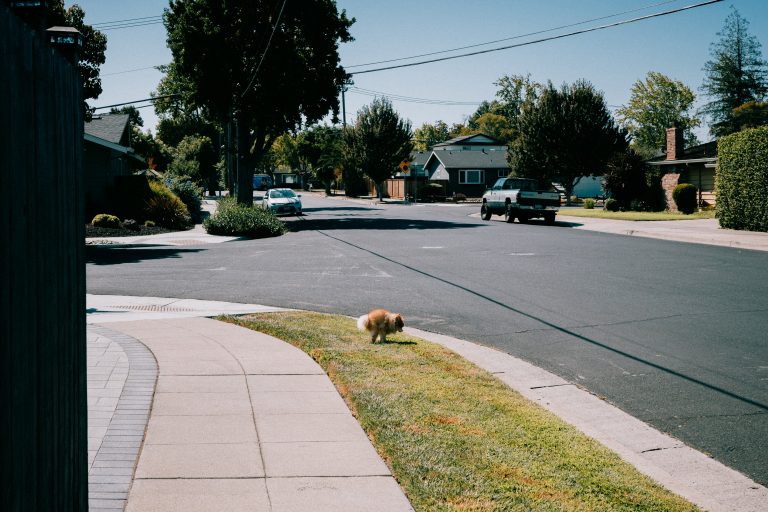 Street photo in Campbell, United States by Daniel De La Torre