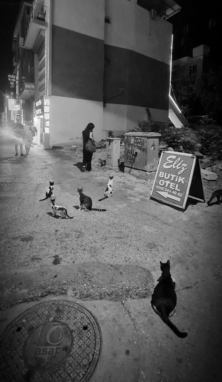Street photo in Antalya, Turkey by Rodrigo Marcotich