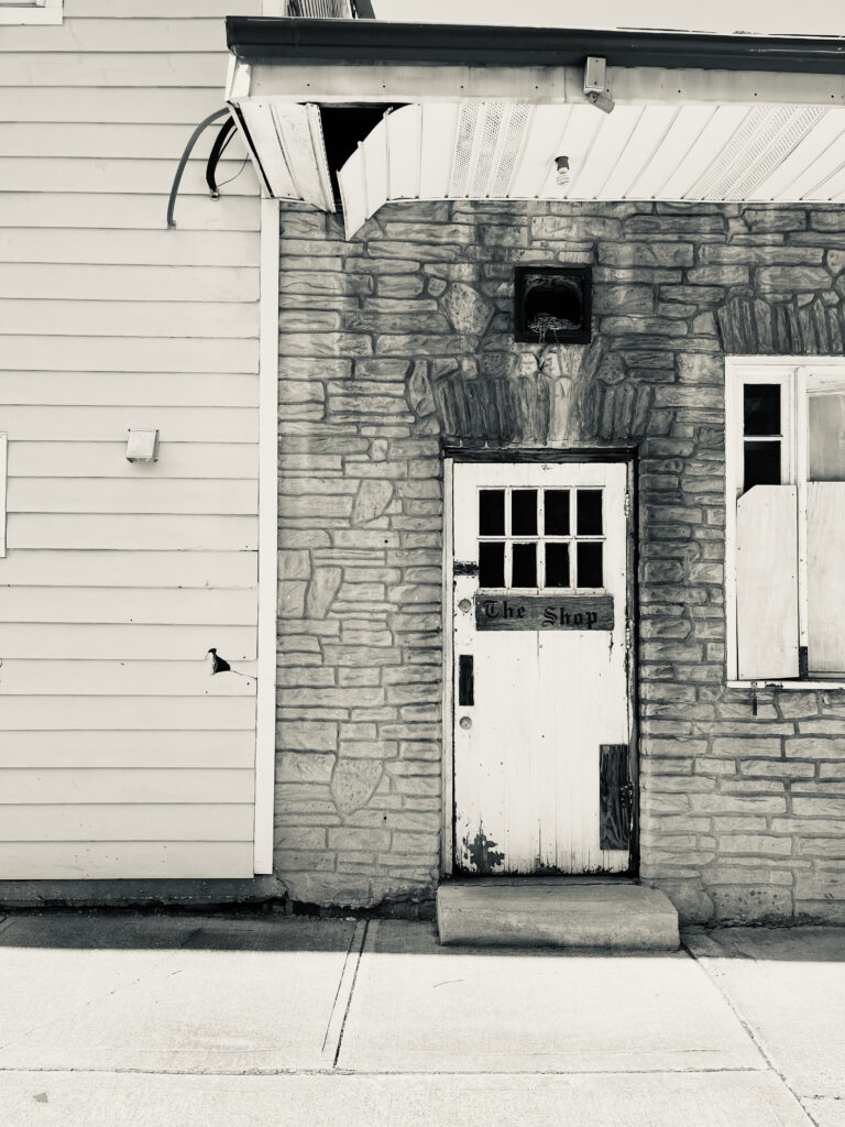 Photo by Luke Wilson