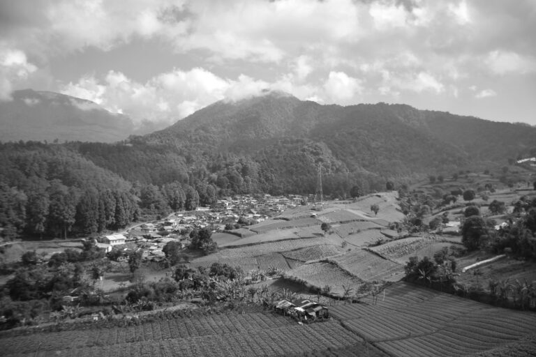 Photo by Hendra Jn