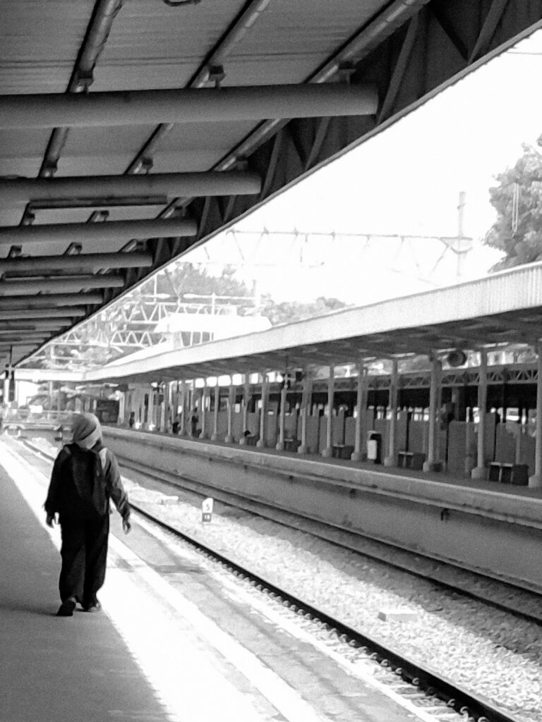 Digital Camera