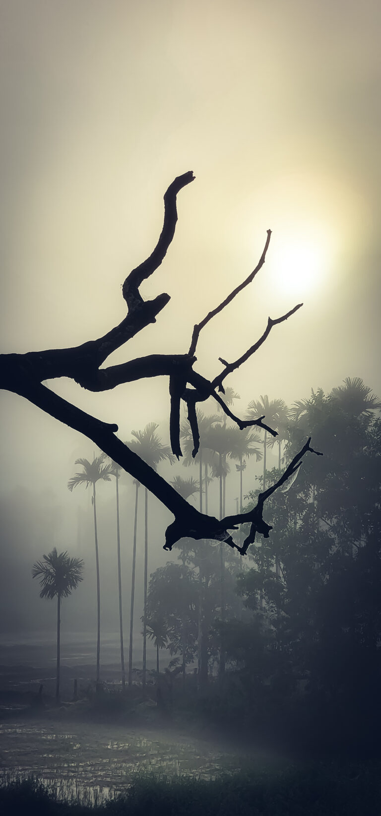 Street photo in Wayanad, India by Midhun Kuttiyadan