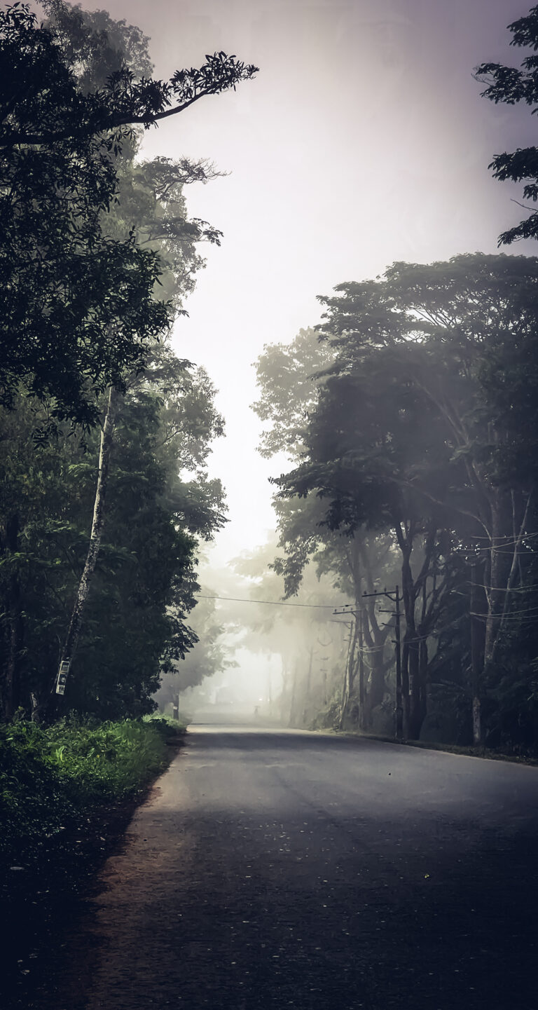 Street photo in Wayanad, India by Midhun Kuttiyadan