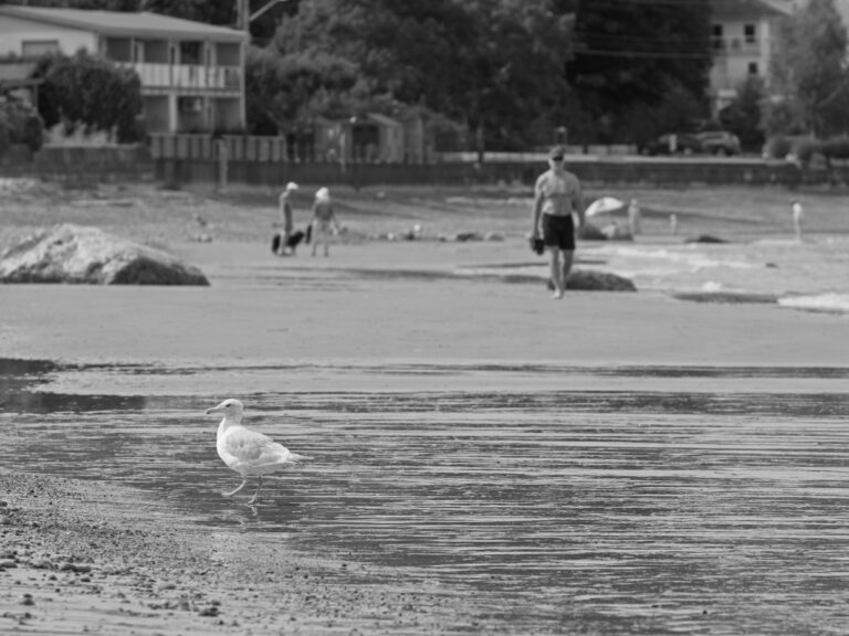 Street photo in Nanaimo, Canada by Mike Carter