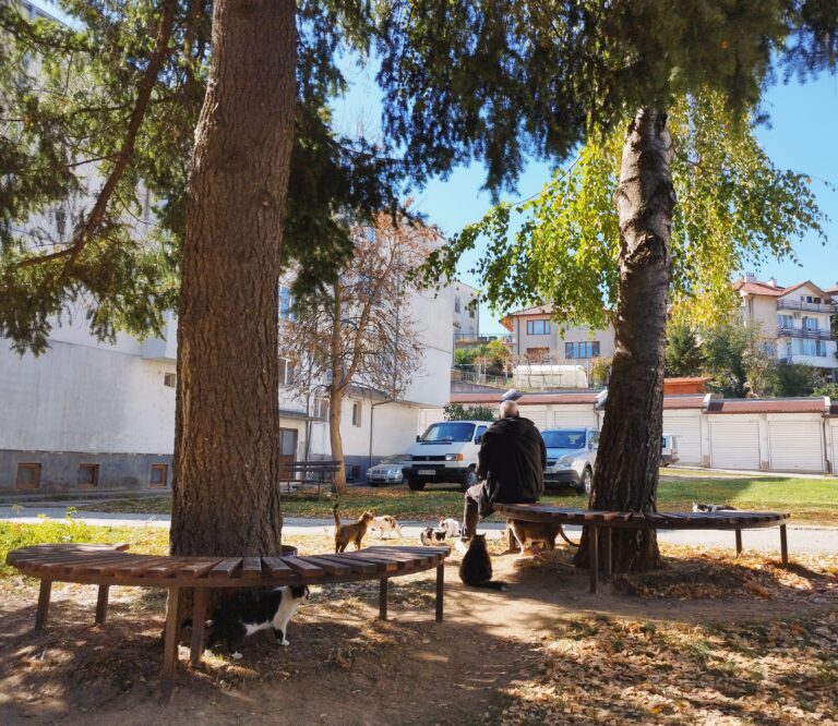 Street photo in Zlatograd, Bulgaria by Aycha Feyzula