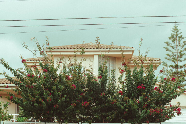 Street photo in Cunit, Spain by Q. Bo