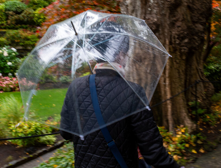 Street photo in Brentwood Bay, Canada by Dan Lawyer