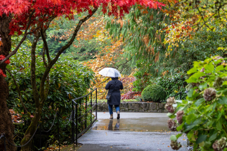 Street photo in Brentwood Bay, Canada by Dan Lawyer