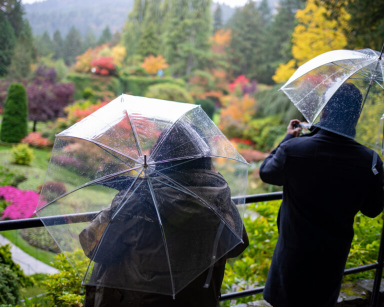 Street photo in Brentwood Bay, Canada by Dan Lawyer