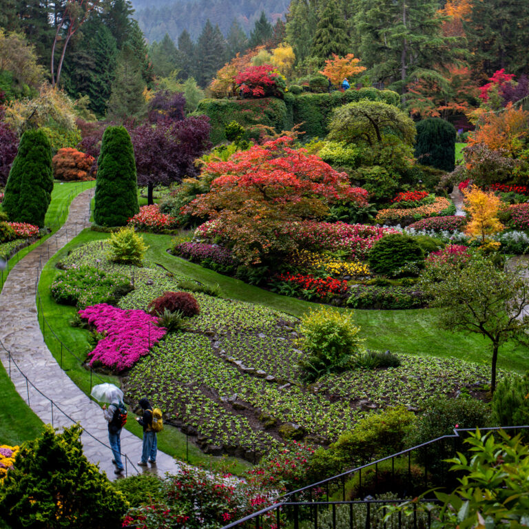 Street photo in Brentwood Bay, Canada by Dan Lawyer