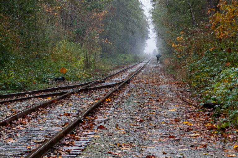 Street photo in Squamish, Canada by Dan Lawyer