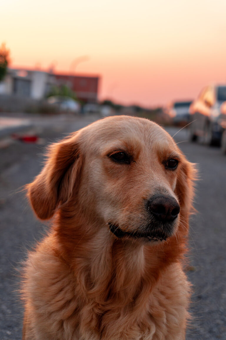 Photo by Kuzey Kubilay