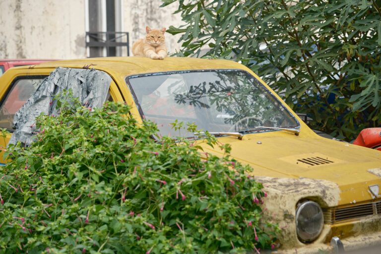 Street photo in Lefkada, Greece by John Lanagan