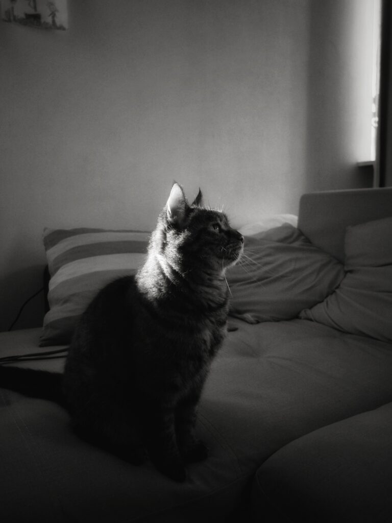 Photo by Andrey Morozevich