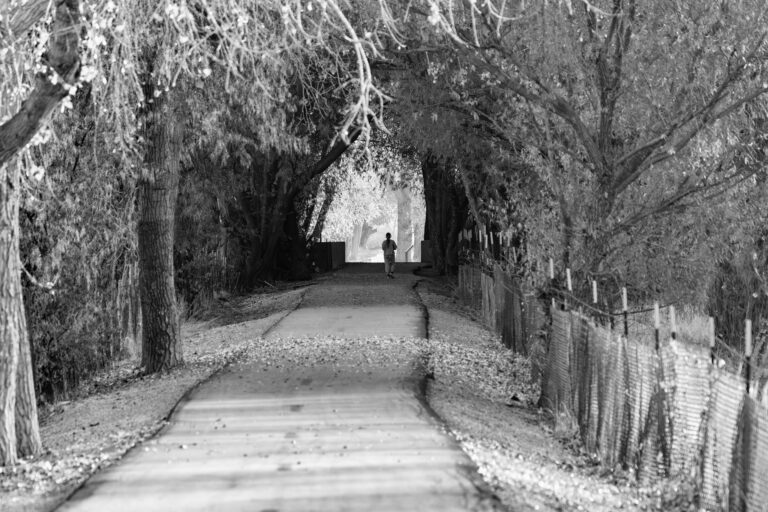 Street photo in Saratoga Springs, United States by Dan Lawyer