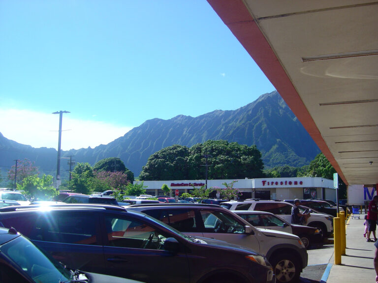 Street photo in Kaneohe, United States by Joel Garza
