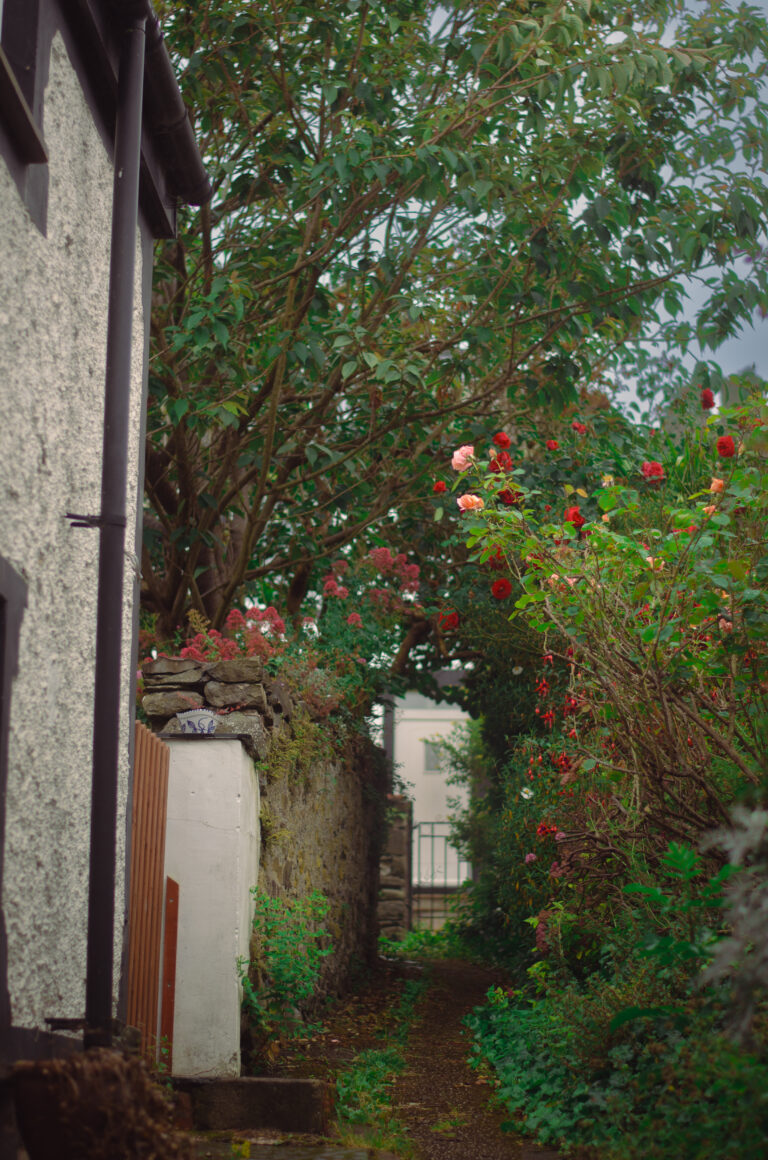 Street photo in Conwy, United Kingdom by Tom Roselle
