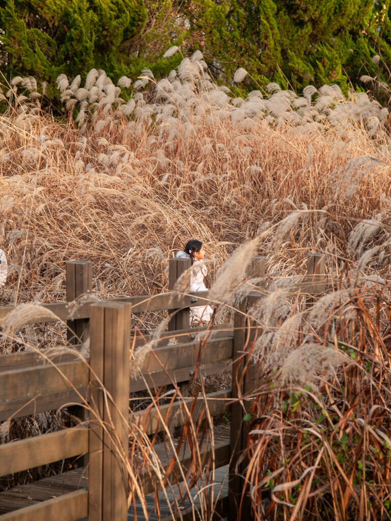 Street photo in Sejong, South Korea by Jvak Cheon