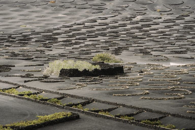 Street photo in Lanzarote, Spain by Pietro Dondarini