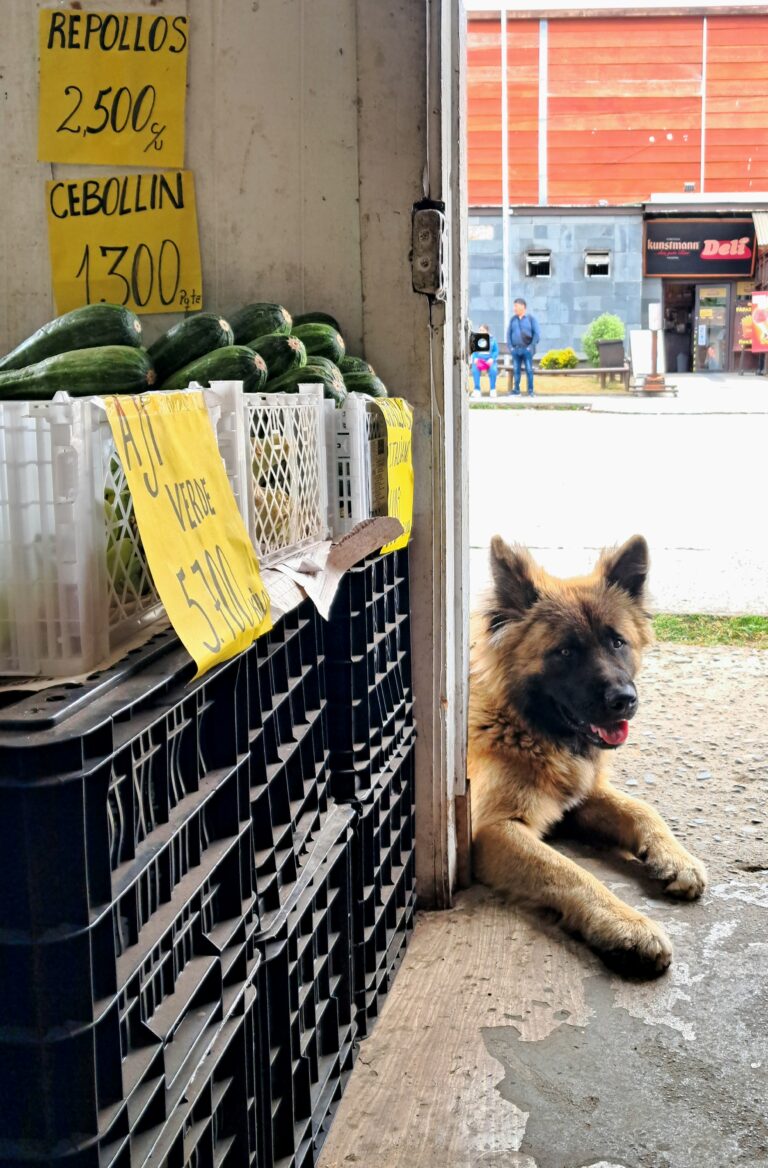 Street photo in Frutillar, Chile by Allan Almeida