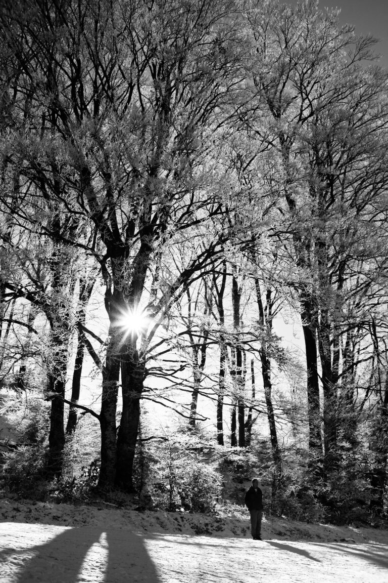Street photo in Lichtenstein-Holzelfingen, Germany by Jef 📷🍀
