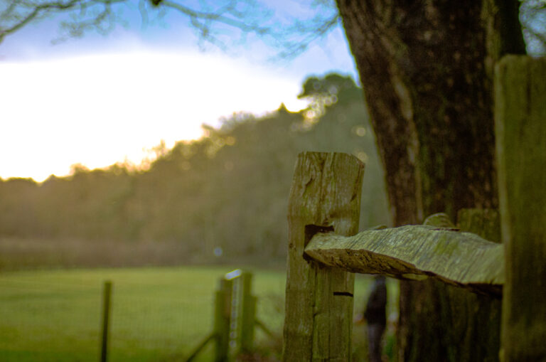 Street photo in Alderley Edge, United Kingdom by Tom Roselle