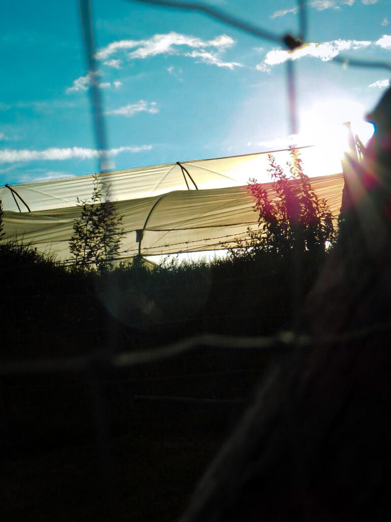 Photo by Nicolás Camacho