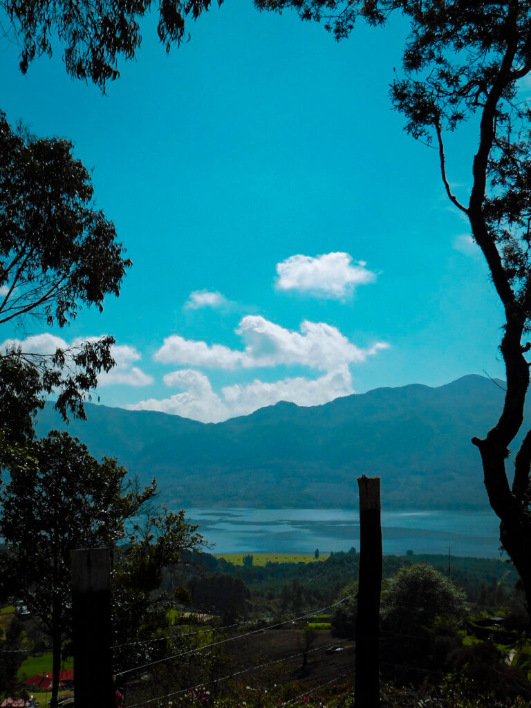 Photo by Nicolás Camacho