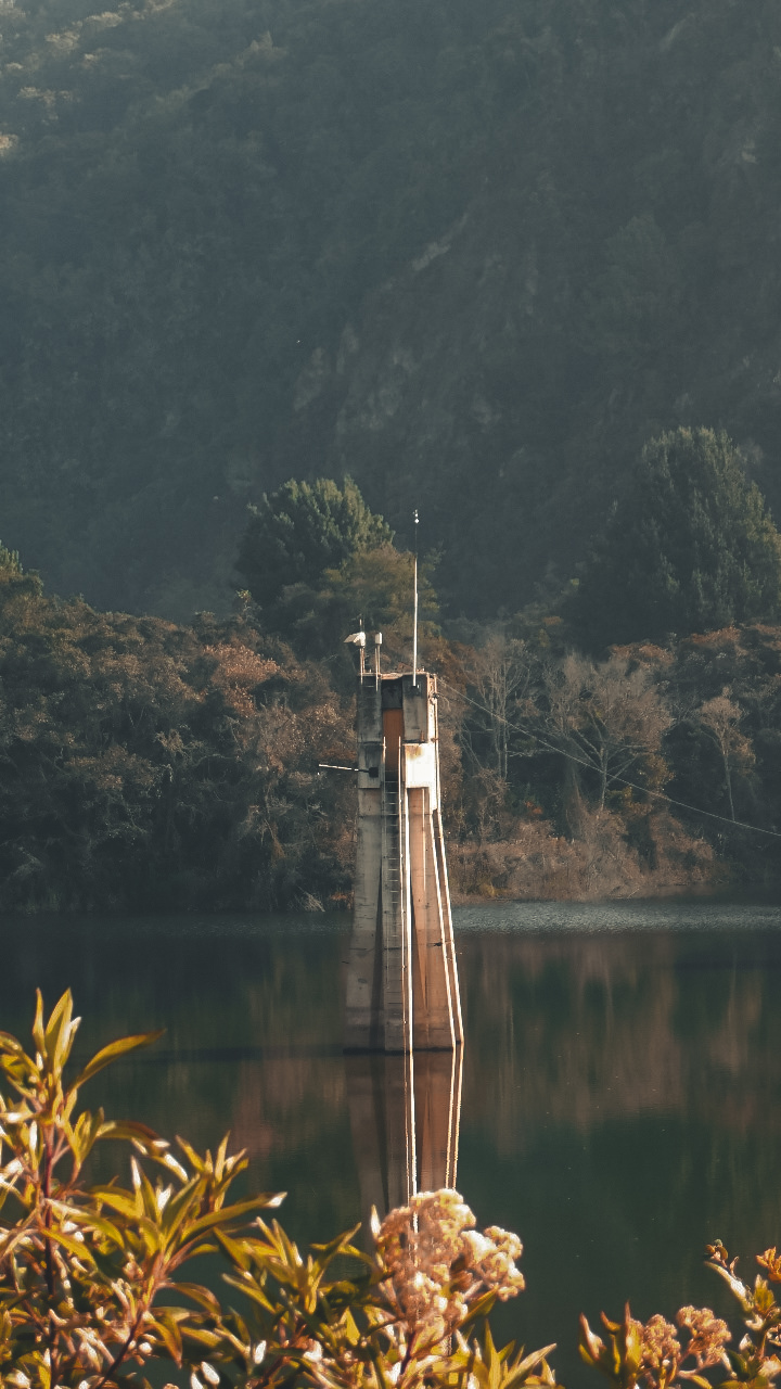 Photo by Nicolás Camacho