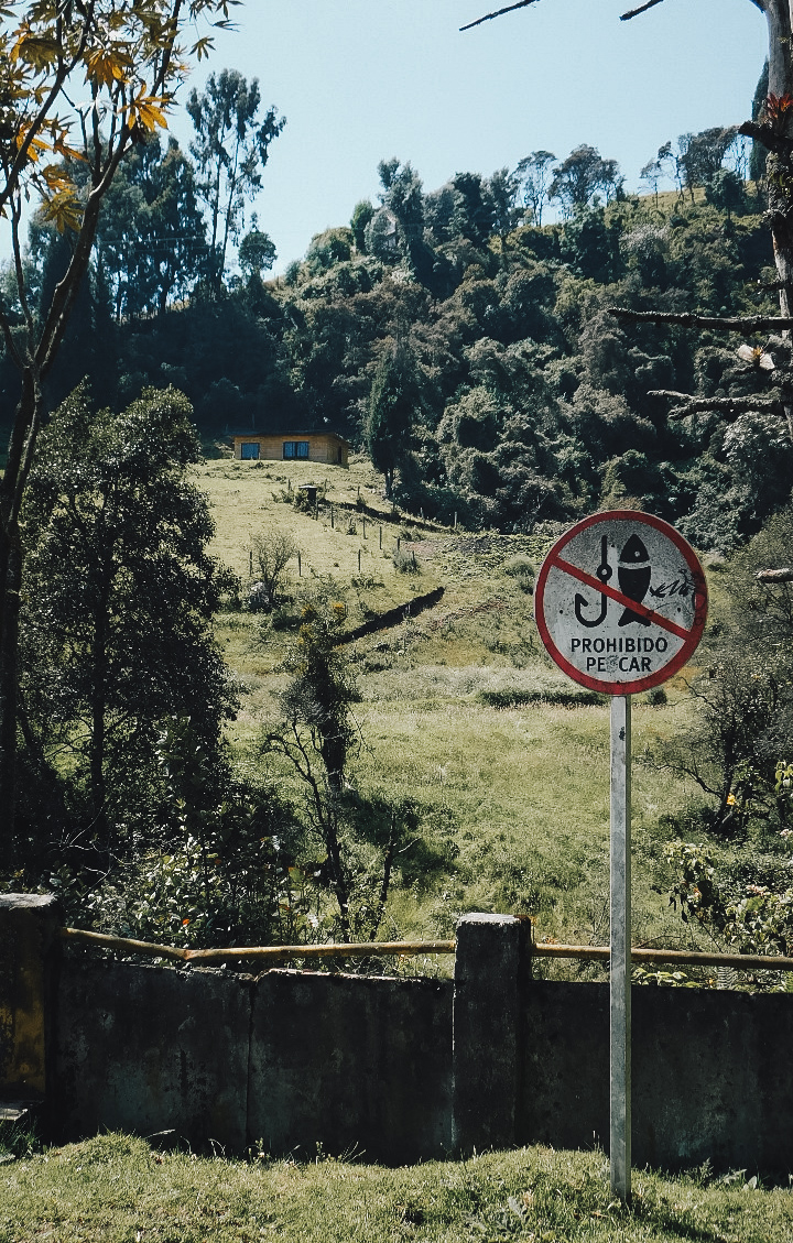 Photo by Nicolás Camacho