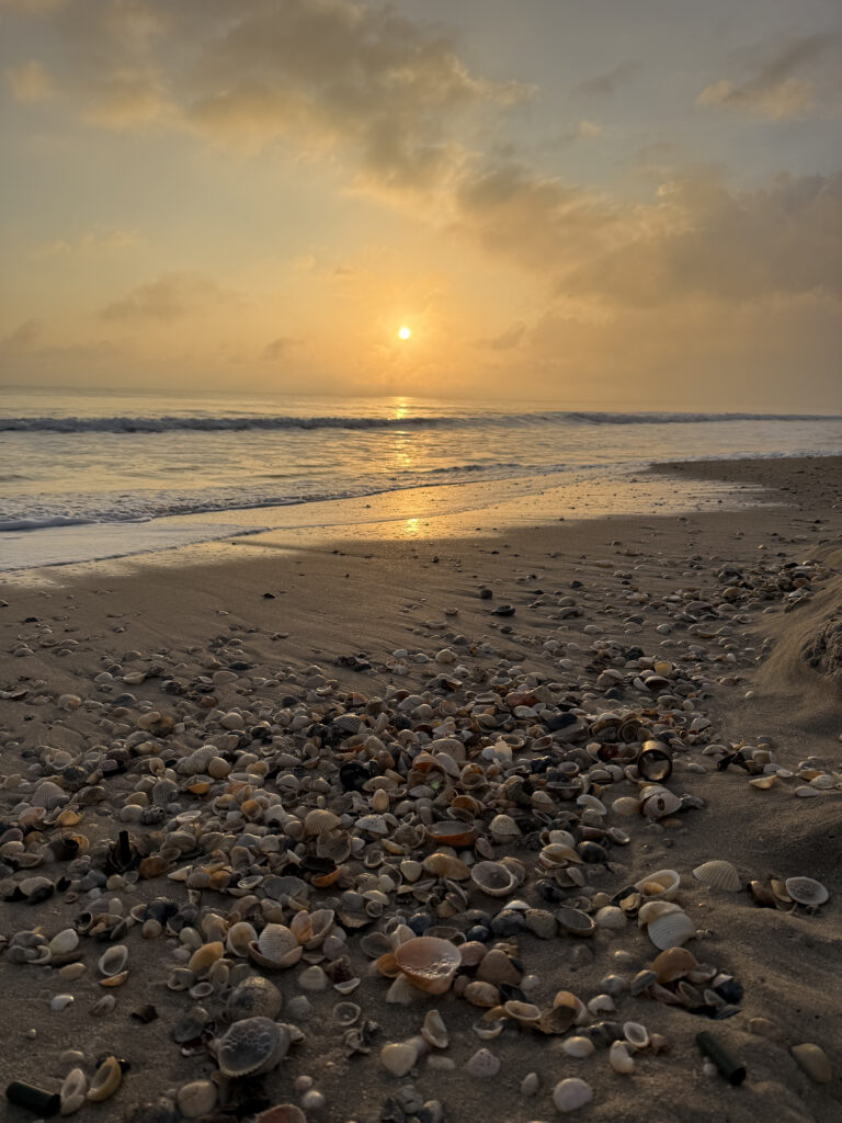 Street photo in Vero Beach, United States by Tom Houlihan
