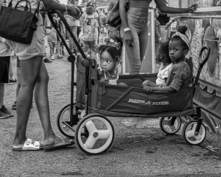 Street photo in Altamont, United States by Rich Schreibstein