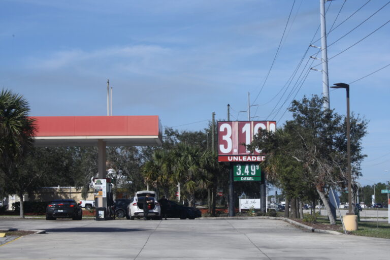 Street photo in Sebring, United States by Izzy Boo
