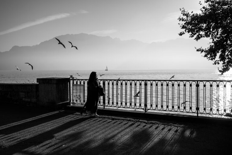 Street photo in La Tour-de-Peilz, Switzerland by Alex Batista