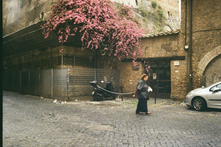 Photo by Khaled Almanla