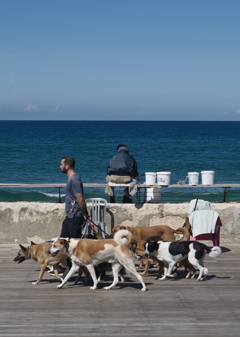 Street photo in Tel Aviv-Yafo, Israel by Tal Meiri