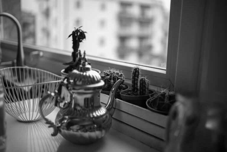 Photo by Pietro Dondarini