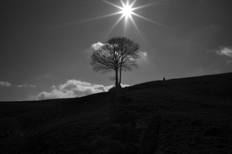 Photo by Pietro Dondarini