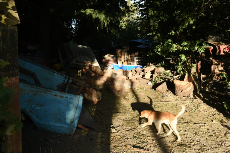 Street photo in San Carlos de Bariloche, Argentina by Rodrigo Marcotich