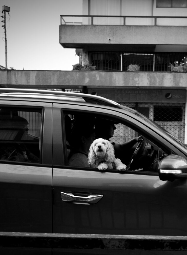 Street photo in Puerto Varas, Chile by Rodrigo Marcotich