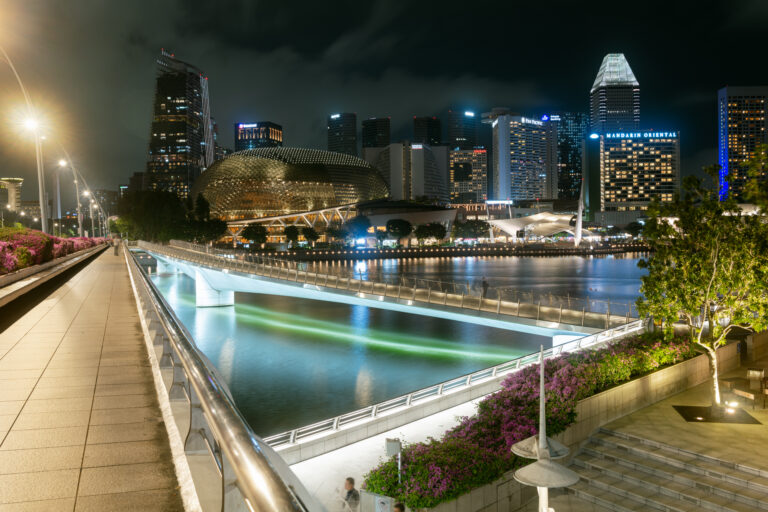 Photo by Anthony Lee