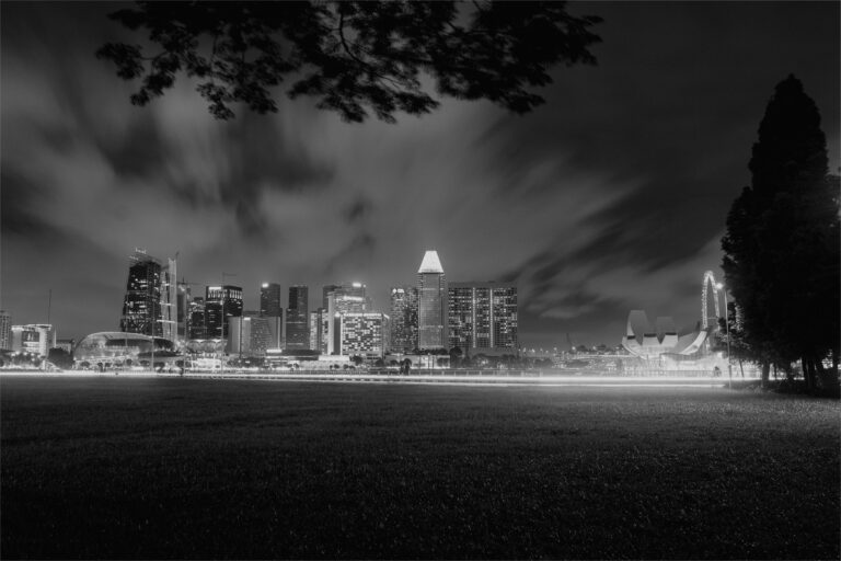 Photo by Anthony Lee