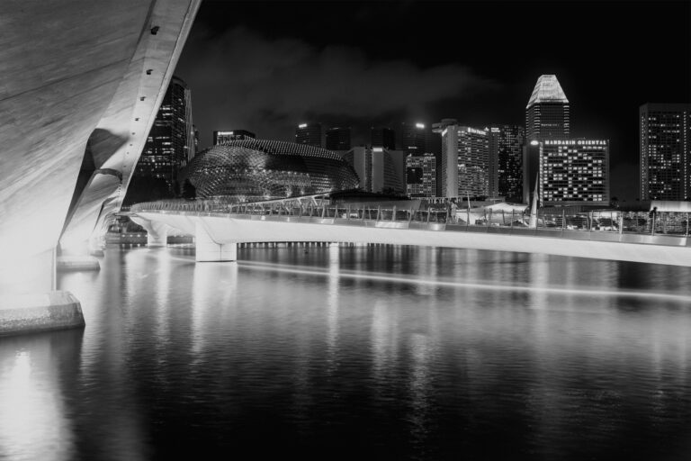 Photo by Anthony Lee