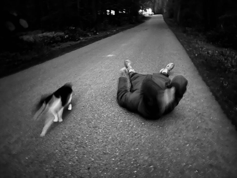 Photo by Adam Roman
