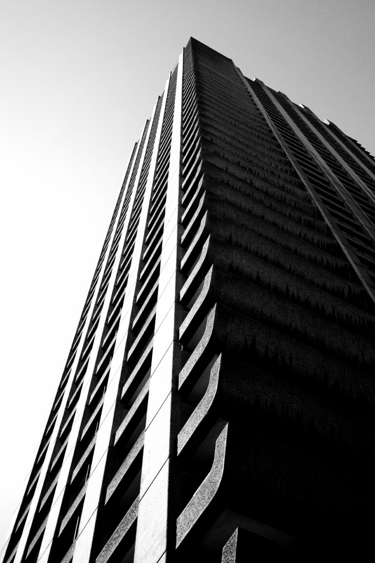 Photo by Jono Mallett