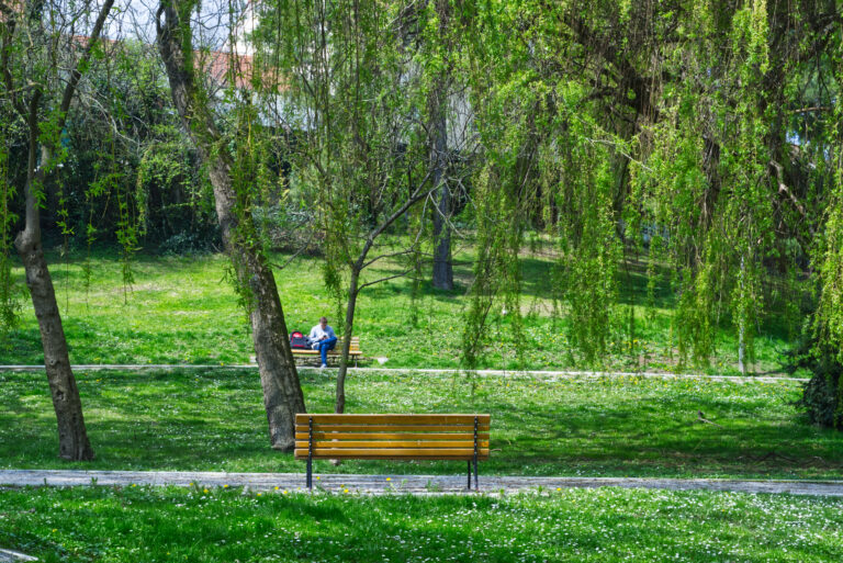 ManInParkZagreb