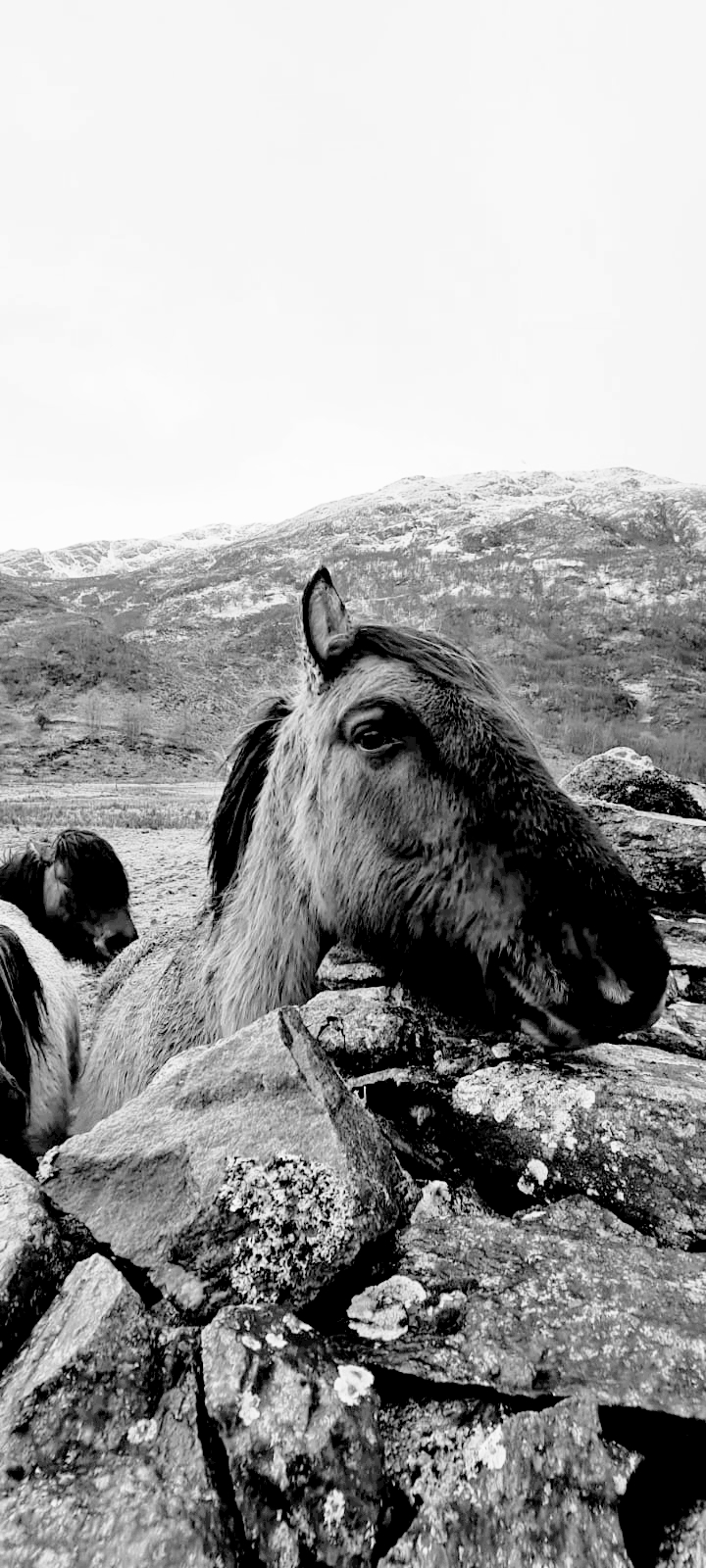Street photo in Skye, United Kingdom by William Black